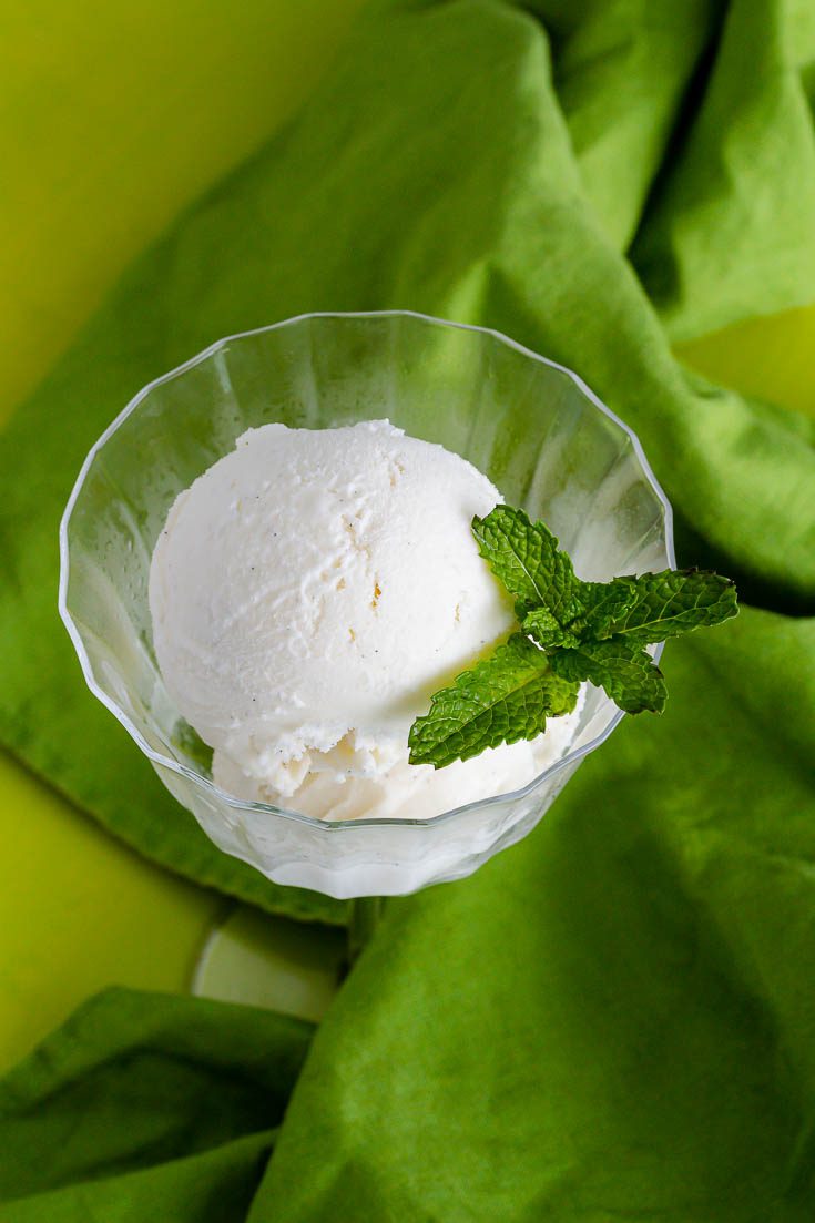 Close up of Vanilla Homemade Ice Cream