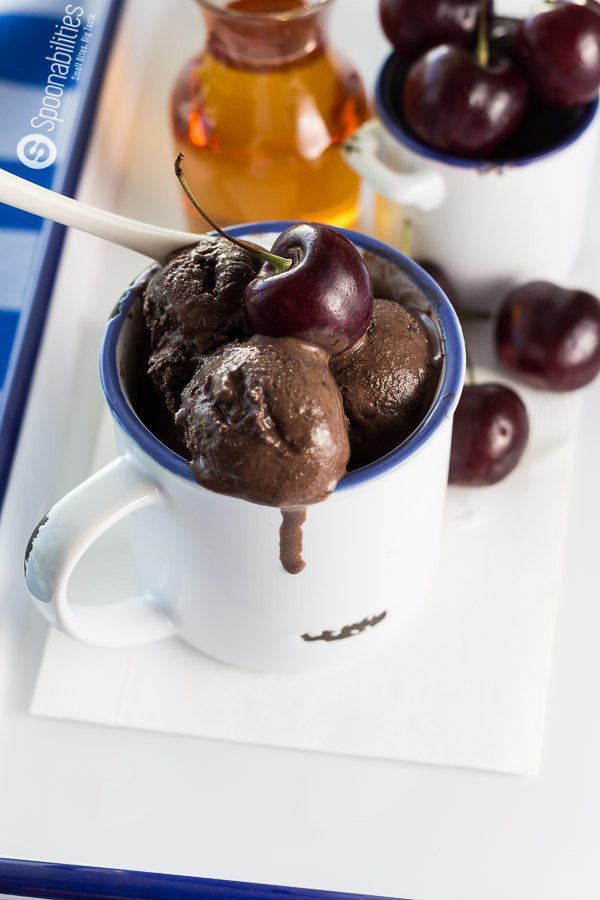 Homemade Chocolate Ice Cream (5 Mins - 5 Ingredients) - Veena Azmanov