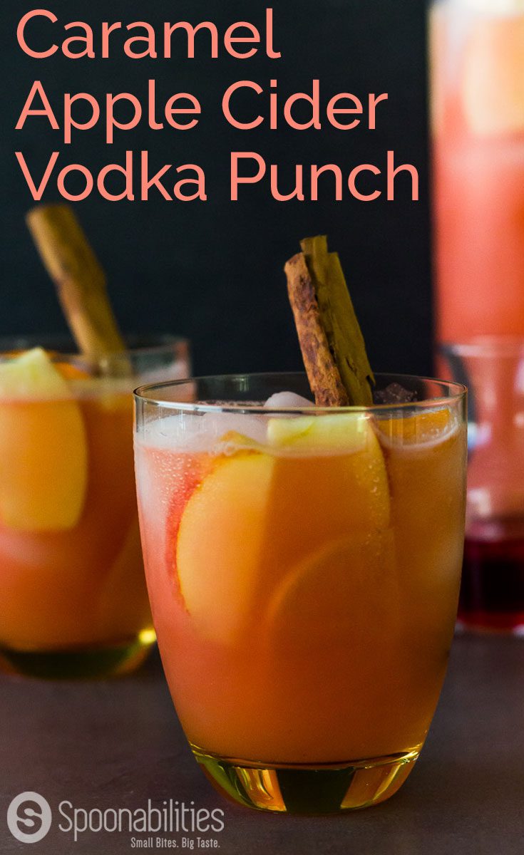 Caramel Apple Cider Vodka Punch Cocktail Drink Spoonabilities