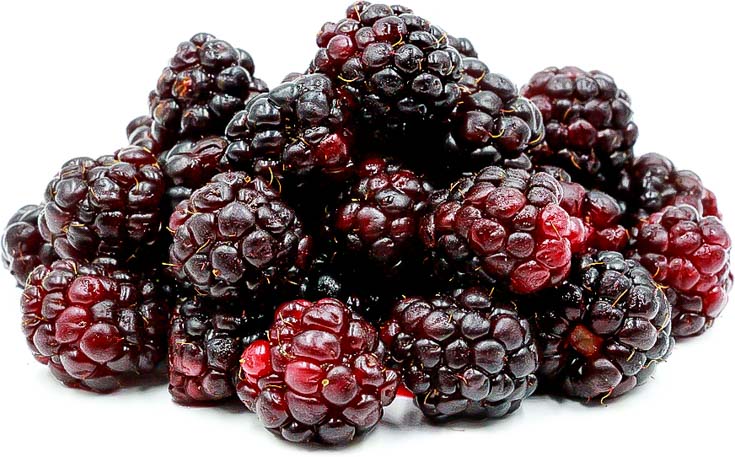 Boysenberries are a rich source of anthocyanins, natural antioxidants, and a great source of vitamins A and C, iron, calcium, potassium, phosphorous, magnesium and dietary fiber. In this boysenberry ice cream you will enjoy the benefit of this fruit. Spoonabilities.com