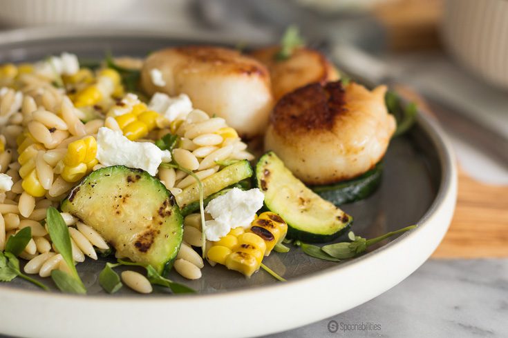 Grilled Corn Zucchini Orzo Salad is one of the best salad recipes with an excellent texture and flavor for a perfect bite. Spoonabilities.com