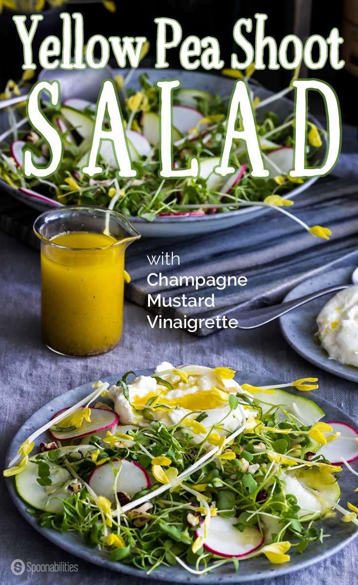 Yellow Pea Shoot Salad with Champagne Mustard Vinaigrette. You will love as a delicious appetizer or full dinner salad. Spoonabilities.com