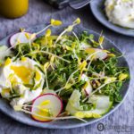 Yellow Pea Shoot Salad Recipe with Champagne Mustard Vinaigrette has a tender texture with fresh spring pea taste and a peppery, nutty, mustardy undertone. Spoonabilities.com