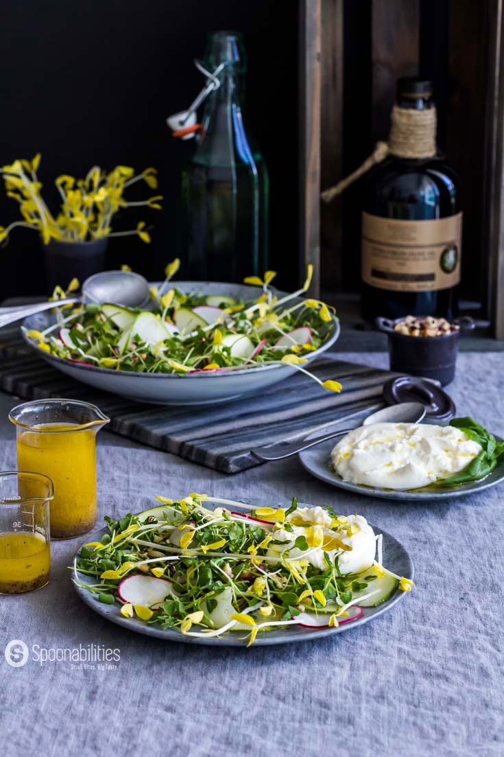 The Yellow Pea Shoot Salad Recipe with Champagne Mustard Vinaigrette has a tender texture with fresh spring pea taste and a peppery, nutty, mustardy undertone. Spoonabilities.com