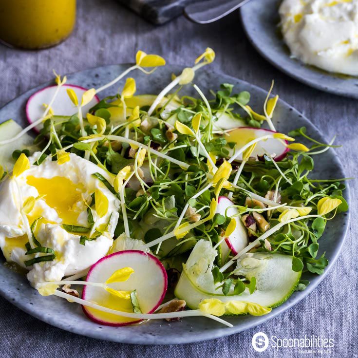 Yellow Pea Shoot Salad with a Champagne Mustard Vinaigrette made with Tarragon Dijon Mustard. Spoonabilities.com