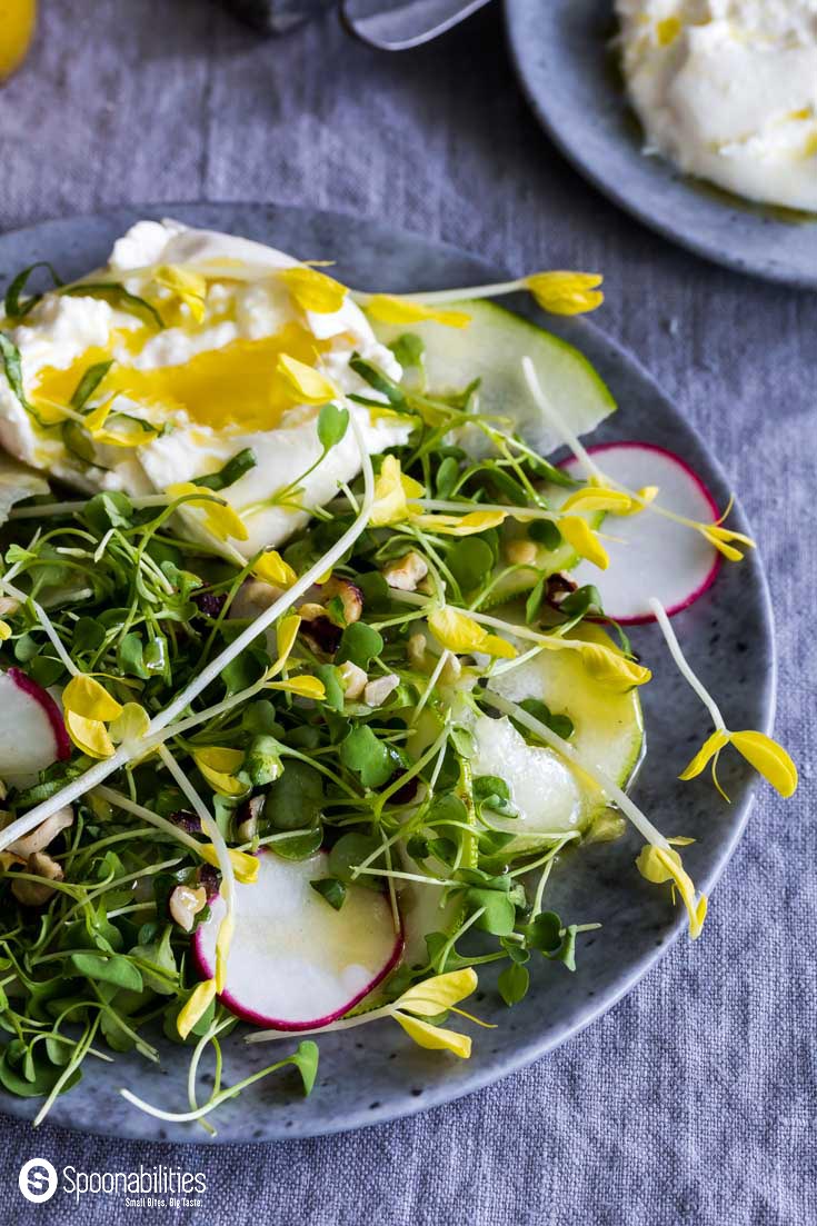 Champagne Mustard Vinaigrette is the salad dressing for this fresh Yellow Pea Shoot Salad with micro arugula, red radishes, zucchini, and hazelnut. Spoonabilities.com