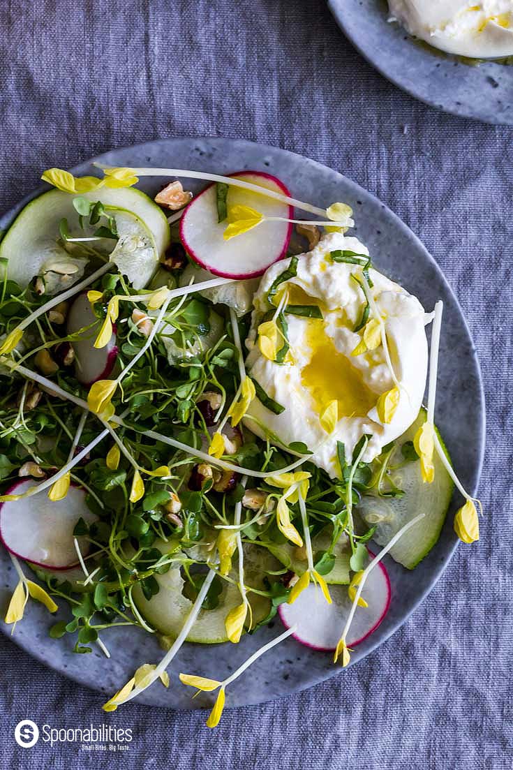 Pea Shoot Salad inspired by Mediterranean flavors. Greek olive oil, Greek honey and French Tarragon Dijon Mustard create a flavorful Champagne Mustard Vinaigrette. Spoonabilities.com