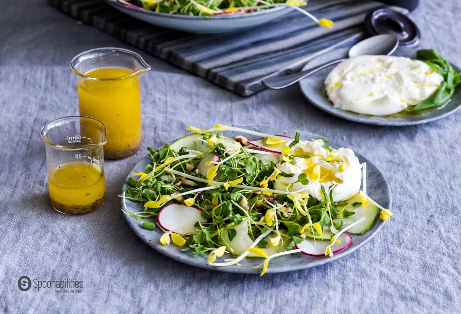 The Champagne Mustard Vinaigrette is the salad dressing for this fresh Yellow Pea Shoot Salad with micro arugula, red radishes, zucchini, and hazelnut. Spoonabilities.com