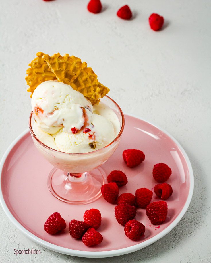 Close up of the homemade ice cream in a light pink bowl on top of a pink round plate with raspberry around the bowl. Spoonabilities.com