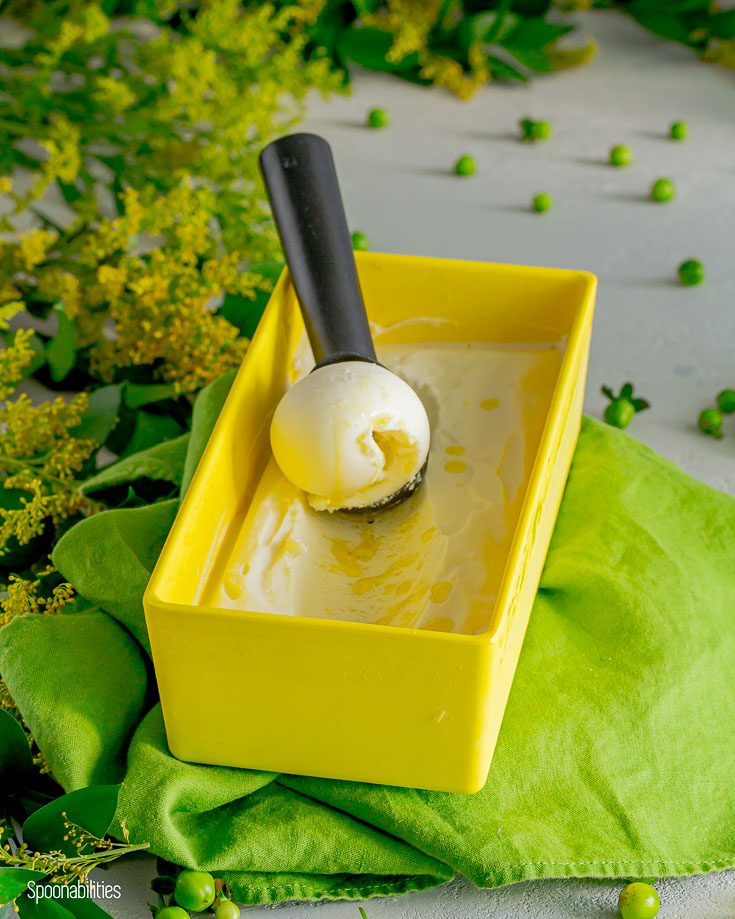 Yellow rectangular ice cream container with homemade ice cream with a scoop inside holding a ice cream ball. The container is on top of a green lime linen fabric. Spoonabilities.com