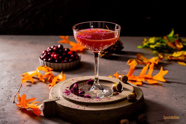 Vodka Blood Orange Cranberry Martini in a vintage coupe glass with fall decor in the background. Photo by Spoonabilities.com