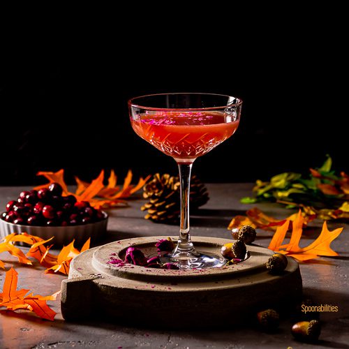 A Cocktail glass on top of a stand with the drink Vodka Blood Orange Cranberry Martini garnished with rose petals. The background is decorated with Fall vibes orange leaves, pine cone and in the back of the photo a small bowl with fresh cranberry. spoonabilities.com
