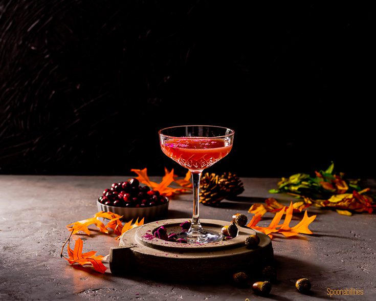 Vodka Blood Orange Cranberry Martini, aka the Bloody Rose Martini in a retro cocktail glass in a pedestal. Decorated with orange fall leave, pine cone & acorn. In the left side a small bowl with fresh cranberry. Spoonabilities.com