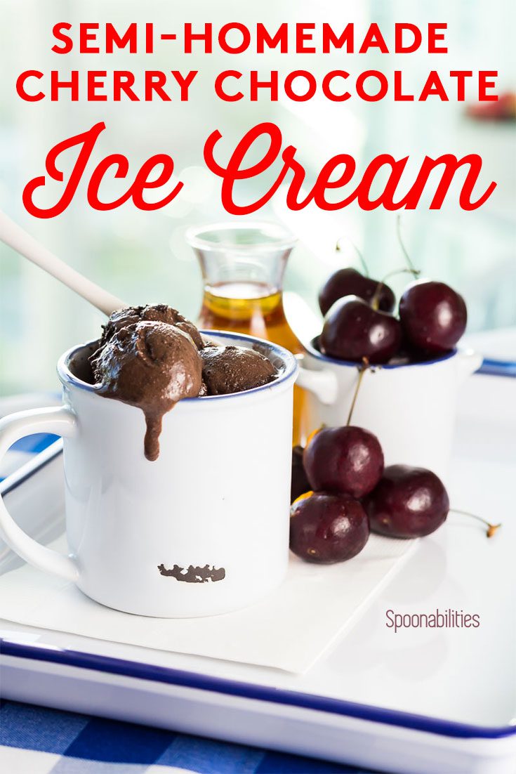 Homemade Chocolate Ice Cream (5 Mins - 5 Ingredients) - Veena Azmanov