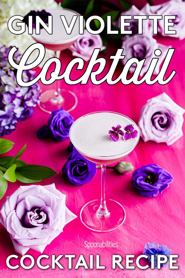 Pink background/surface with different tone of purple and violet color roses. In the center a NUDE Savage coupetini glass with the drink Gin Violette Cocktail. Recipe at Spoonabilities.com