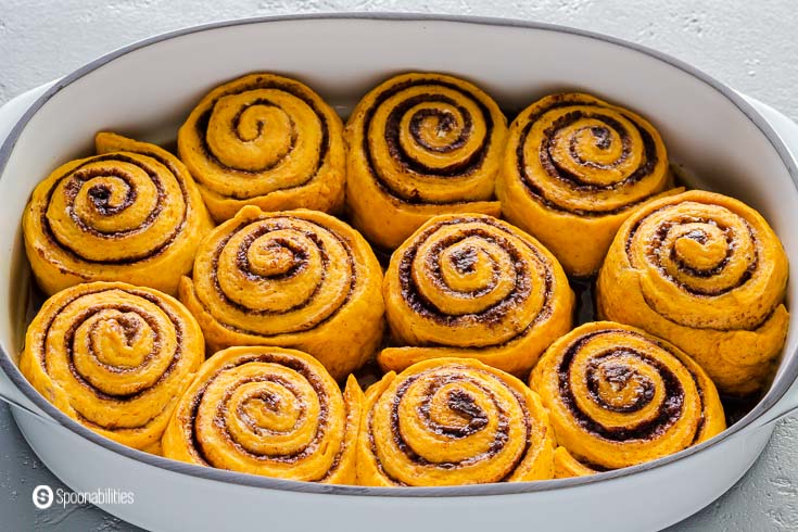 a tight close up photo of the pumpkin cinnamon rolls after overnight rising. Recipe at Spoonabilities.com