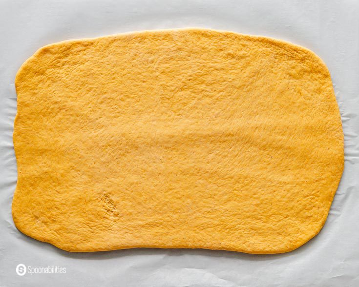 Pumpkin Dough on a surface after Kneaded and Shaped before adding the cinnamon sugar filling to the cinnamon rolls with pumpkin flavor. Recipe at Spoonabilities.com