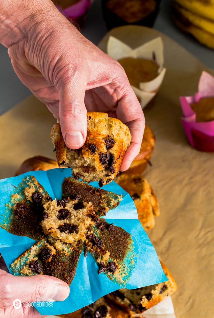 one hand holding the muffin wrapper and the other hands holding the other half of the muffins. The person It's trying to show the inside of the sourdough banana muffins with a lot of chocolate chips. recipe at Spoonabilities.com