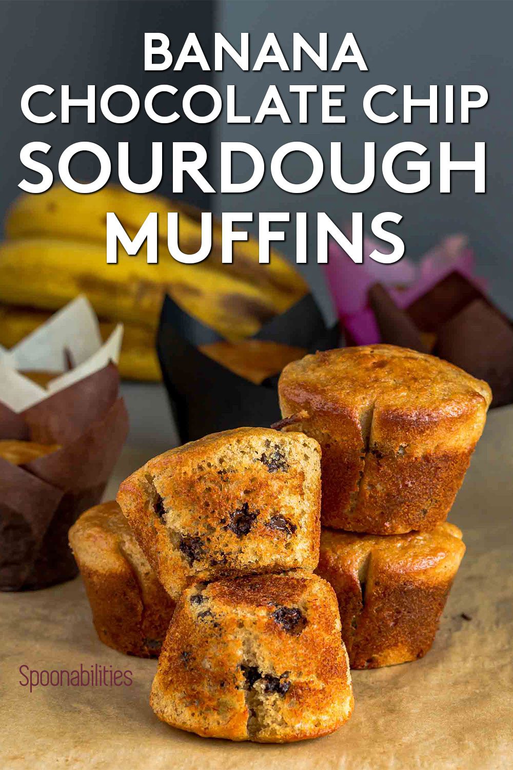 Five Sourdough muffins on a parchment paper. Recipe at Spoonabilities.com