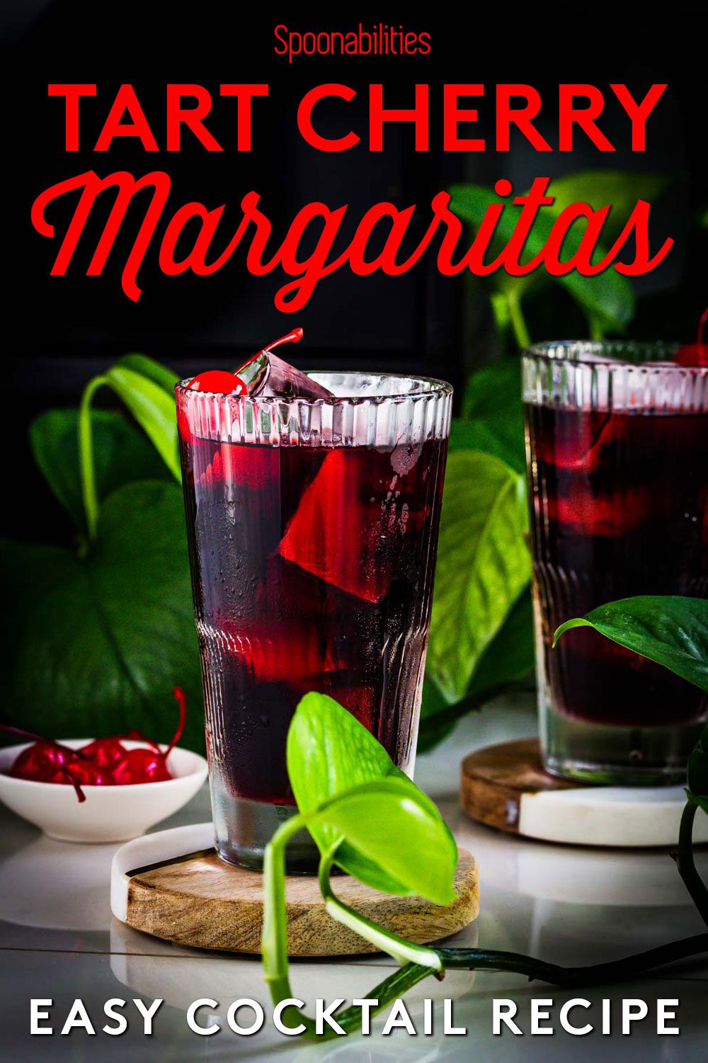 Two tall glasses of tart cherry margaritas around a green plant