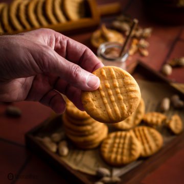 A hand holding one peanut butter cookie in a close up photo.