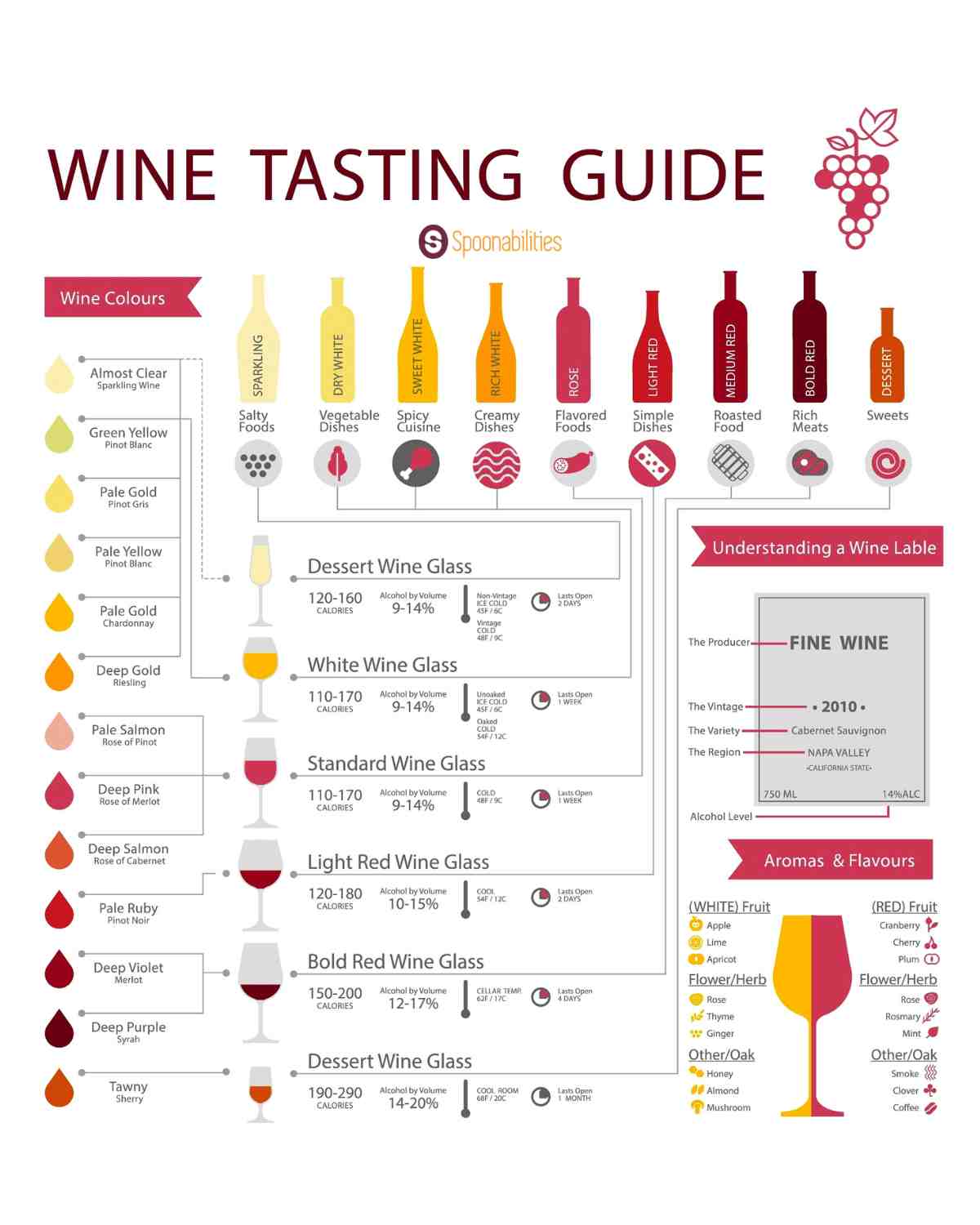 Wine tasting guide infographic with wine pairing recommendations