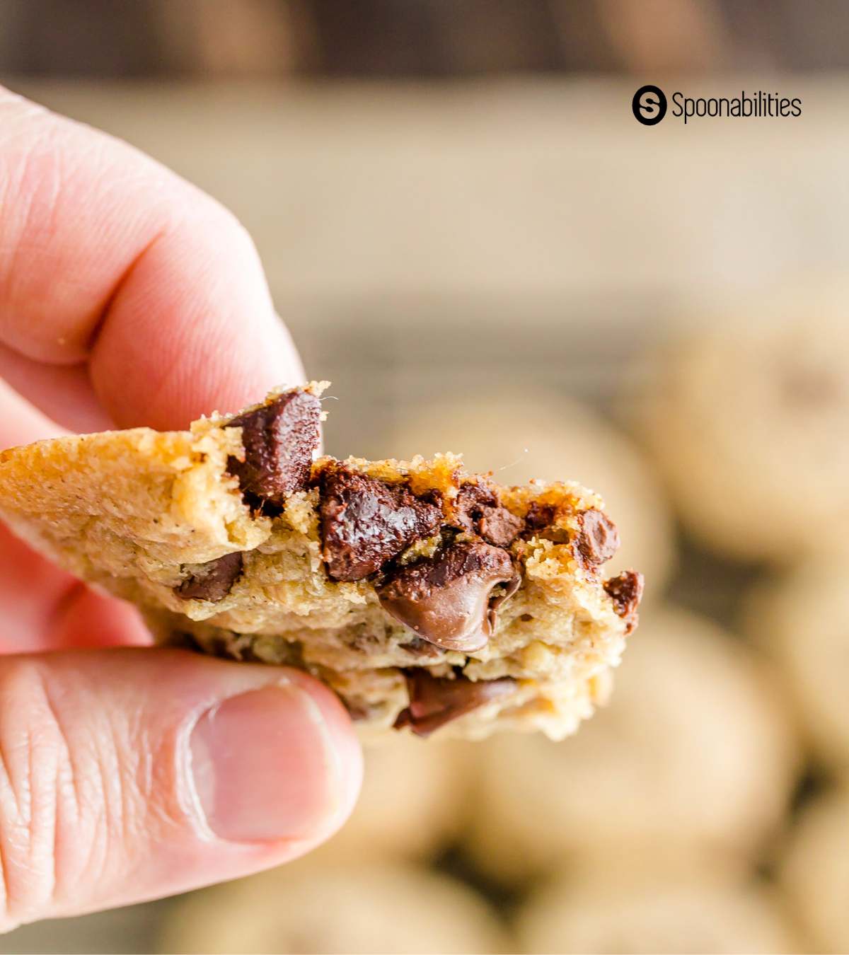 Chocolate morsels showing from inside choco chip cookie half